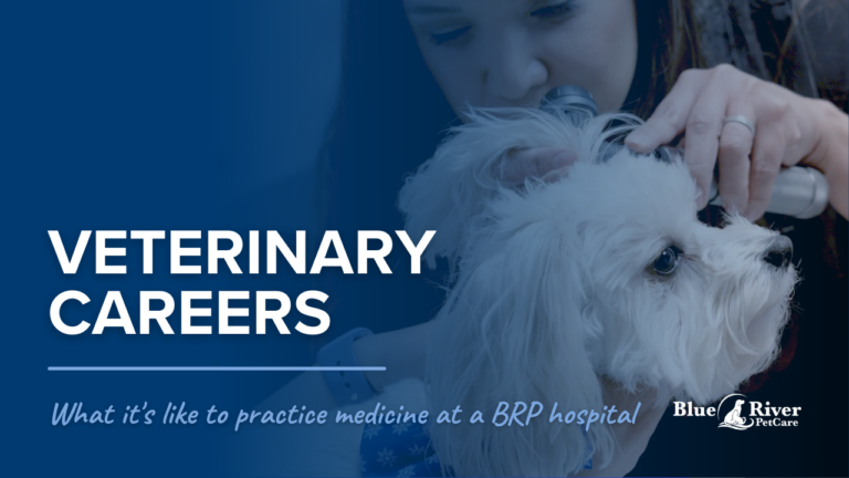 Veterinary Careers